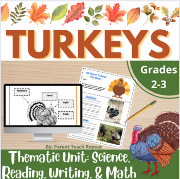 Preview of Turkey Activities | Math Science Reading Writing | Thanksgiving | Booklet