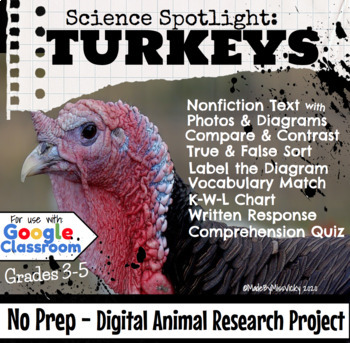 Preview of Turkey Animal Research Report Digital, No Prep!