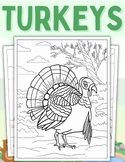 Turkey Coloring Pages (PDF Printables)