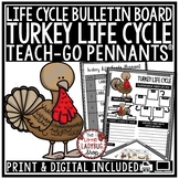 Turkey Cycle Activity Fall November Bulletin Board Teach- 