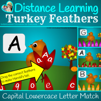 Preview of Turkey Distance Learning Thanksgiving Capital Lowercase Letter Match