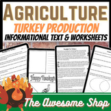 Turkey Farming Thanksgiving Text & Worksheets for Agricult