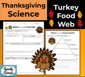 Preview of Turkey Food Web & Energy Pyramid Thanksgiving Science Research - Middle School