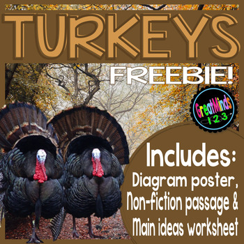 Preview of Turkeys Freebie {Non-fiction text, Main Ideas Worksheet, Writing, & Poster}