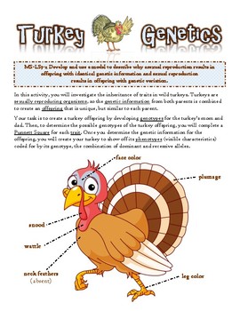 Preview of Turkey Genetics