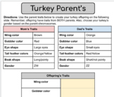 Turkey Inherited and Acquired Traits