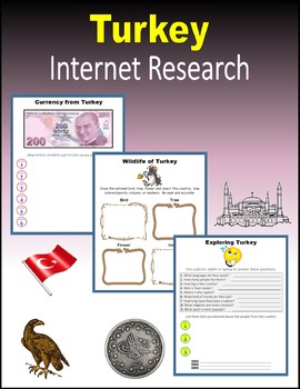 Preview of Turkey - Internet Research Activities