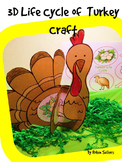 Turkey Life Cycle {3D Life Cycle of a Turkey Craft}