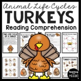 Turkey Life Cycle Activities and Worksheets Informational 