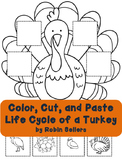 Turkey Life Cycle Activity