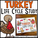 Turkey Life Cycle | Centers, Activities and Worksheets | T