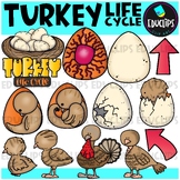 Turkey Life Cycle Clip Art Set {Educlips Clipart}