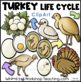 Turkey Life Cycle Clip Art  Whimsy Workshop Teaching