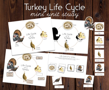 Preview of Turkey Life Cycle Mini Unit Study | Montessori Watercolor Thanksgiving Nature