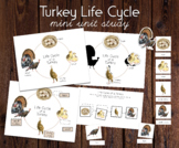 Turkey Life Cycle Mini Unit Study | Montessori Watercolor 