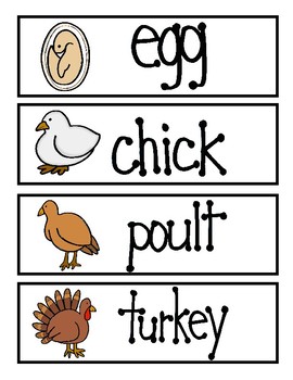 Turkey Life Cycle Pack by Enchanting Little Minds | TPT