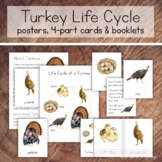 Turkey Life Cycle Pack