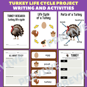 Preview of Turkey Life Cycle Research Project Report - Information Report Activities