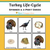 Turkey Life-Cycle Spinner and 3-Part Cards