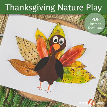 Preview of Turkey Nature Craft | Thanksgiving Nature Craft | Thanksgiving Craft