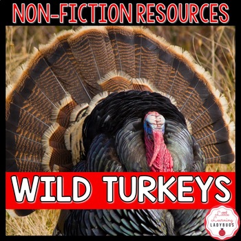 Preview of Turkey Non-Fiction Resources | Close Reads & Informational Text