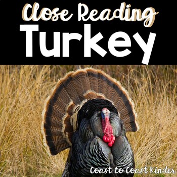 Preview of Turkey Nonfiction Close Read with Text Dependent Questions & Annotate Text