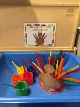 Preview of Turkey Sensory Stations