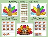 Turkey (Thanksgiving) Alphabet and Number Match Small Grou