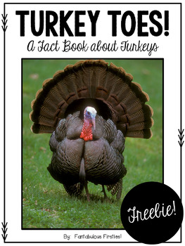 Preview of Turkey Toes Fact Book Freebie!