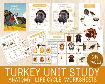 Preview of Turkey Unit Study, Thanksgiving Activities, Anatomy, Life Cycle, Worksheets