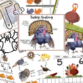 Turkey Unit Study, Turkey Life Cycle, Thanksgiving Activities