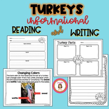 Preview of Turkeys Informational Reading and Writing