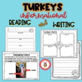 Turkeys Informational Reading and Writing