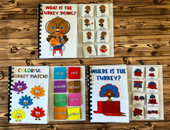 Turkeys: Interactive Visual Books & Matching Activities for Little Learners