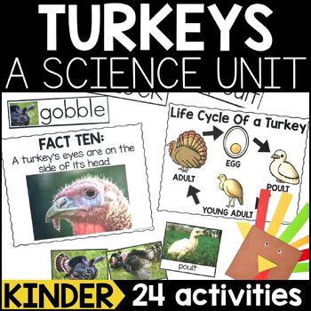 Preview of Turkeys Science Lessons and Activities for Kindergarten