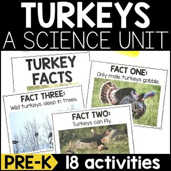 Preview of Turkeys Science Lessons and Activities for Pre-K