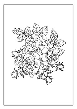 https://ecdn.teacherspayteachers.com/thumbitem/Turn-Your-Stress-into-Art-with-Our-Printable-Flower-Coloring-Pages-for-Adults-9330564-1684865459/original-9330564-2.jpg