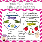 Turn and Learn Life Cycle Wheels