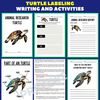 Preview of Turtle Animal Research Project Report - Information Report Activities