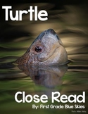 Turtle Close Read