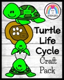 Turtle Craft Life Cycle Activity - Spring Science - Ocean 