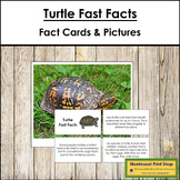 Turtle Fast Facts - Montessori Zoology Cards & Pictures