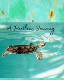 Turtle Hatchlings Unit: Lesson Plan, Short Story, Workshee