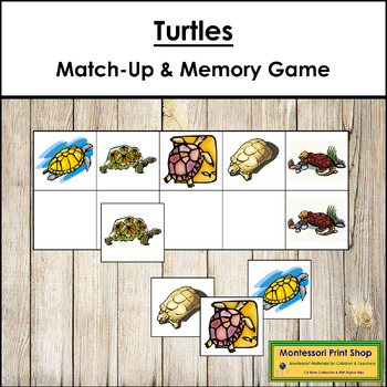 Preview of Turtles Match-Up and Memory Game (Visual Discrimination & Recall Skills)