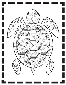 Preview of Turtle Reptile Zentangle Coloring Page