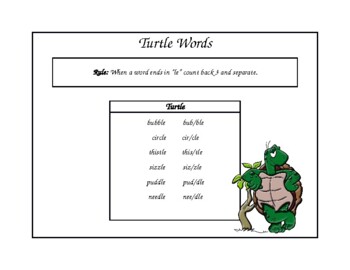 Preview of Turtle Rule Poster
