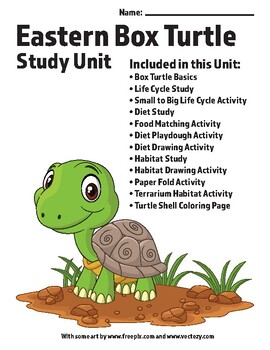 Preview of Turtle Study Unit, Eastern Box Turtle Worksheets, K-5th Curriculum