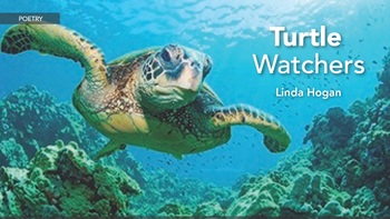 Preview of Turtle Watchers “Nature” is what We see— The Sparrow |PPT| myPerspectives | Gr7