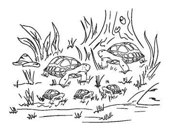 turtle woodland animal printable coloring pages letter