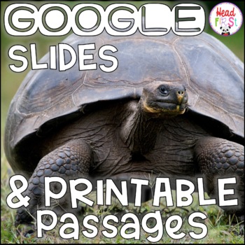 Preview of Turtles NONFICTION GOOGLE and PRINTABLE Passages and Writing Activities